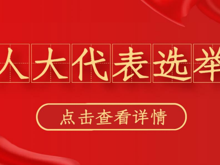 定了！11月22日，全市投票选举市、镇两级人大代表